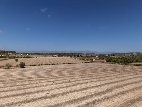 Único Gallery